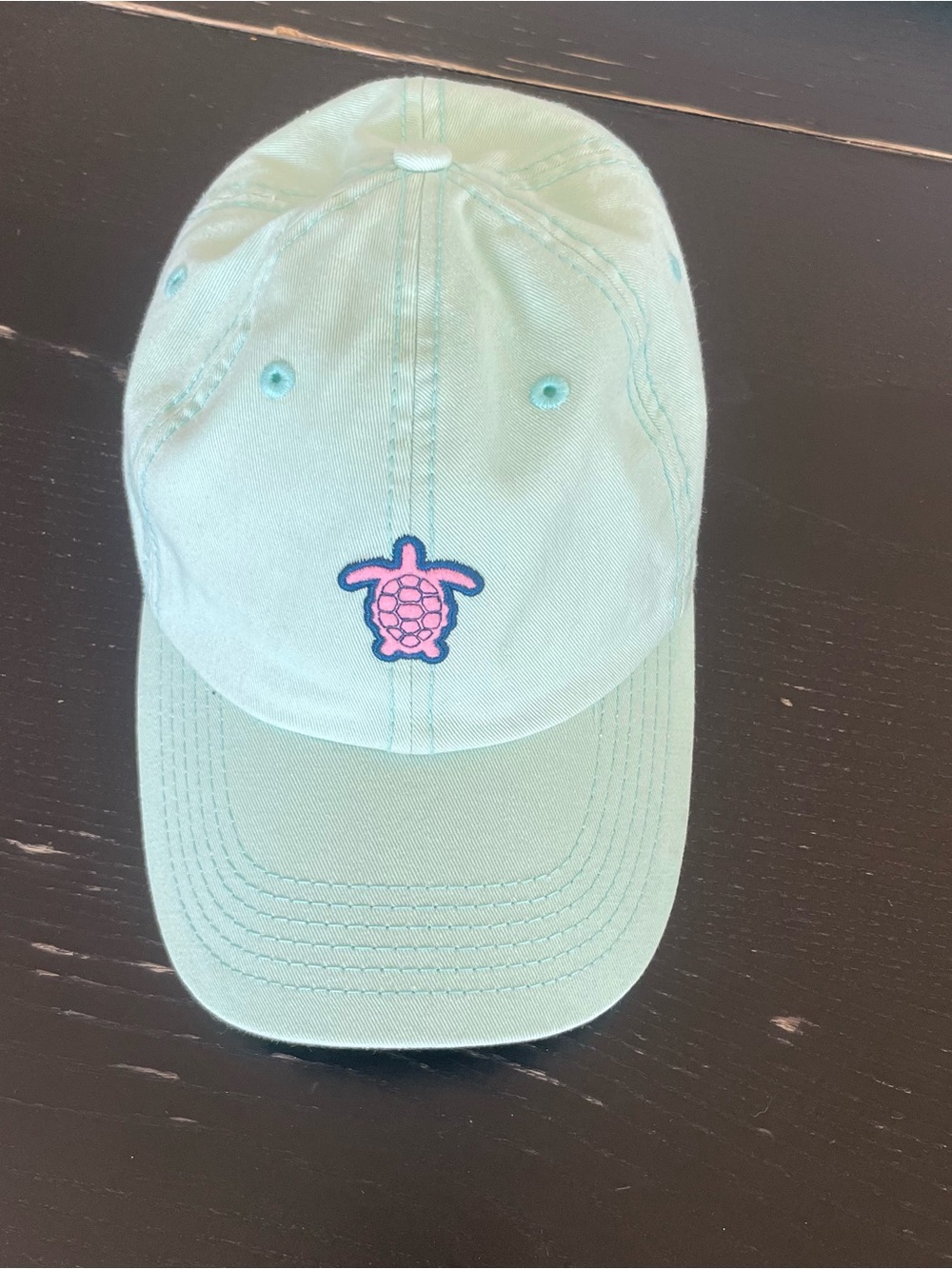 Sand Cloud Turtle light green Cap